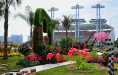 2020中国国际家庭花卉园艺展将办