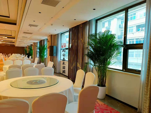 西安酒店绿植花卉租赁需要注意什么？