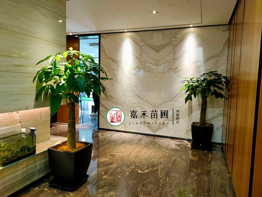 西安酒店绿植花卉租赁美陈：为酒店增色添彩，营造宜人氛围