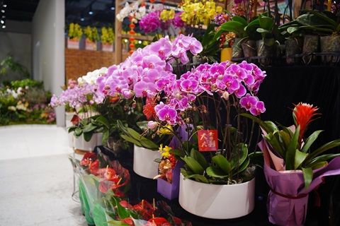 20251104/6909979dec908.jpg DSC03450.jpg