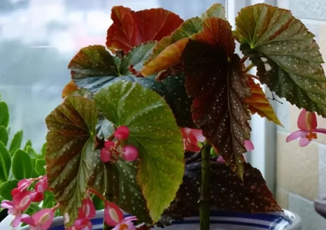 20251118/691bd832c89b5.png QQ20251118-101916.png