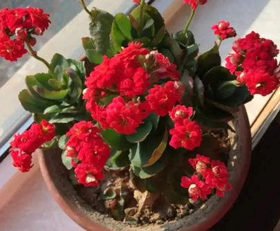 20251127/6927ae1972c6b.png QQ20251127-094617.png