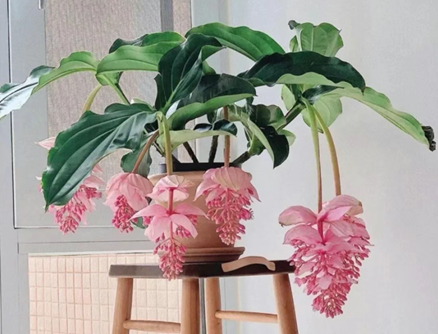 20251204/693132dad780c.png QQ20251204-150157.png