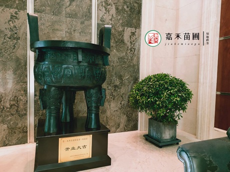 西安酒店绿植租赁&mdash;&mdash;点缀空间格调，提升宾客体验